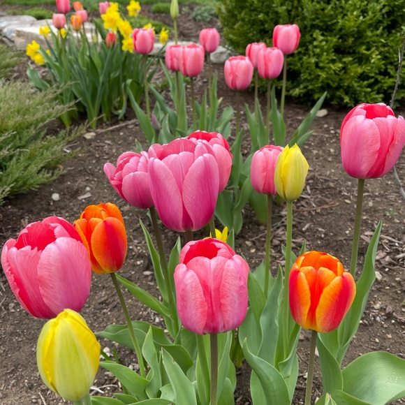 Meet your Posher, MrsPeck - Picture 6 of 6